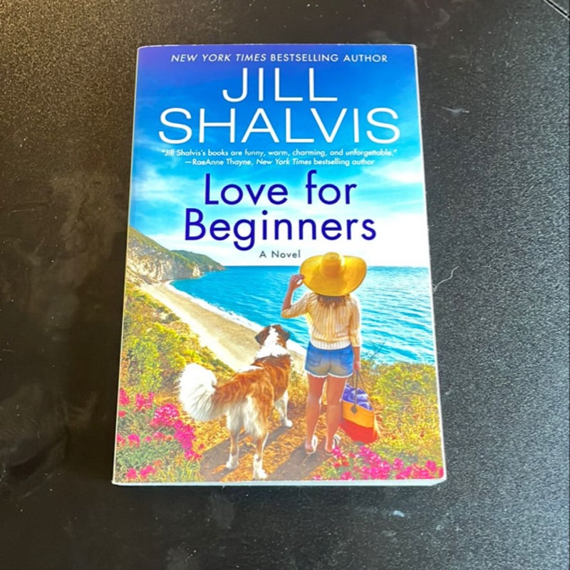 Love for Beginners