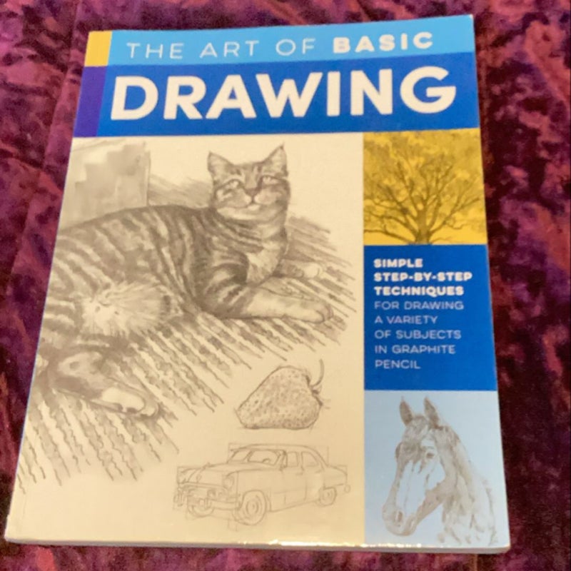 The Art of Basic Drawing