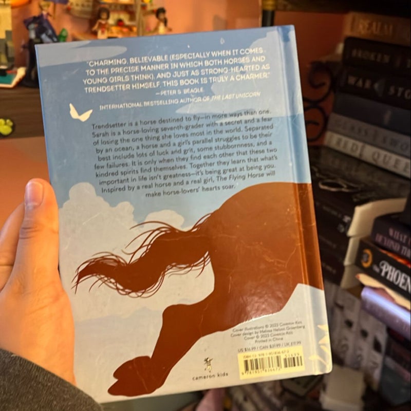 The Flying Horse (Once upon a Horse #1)