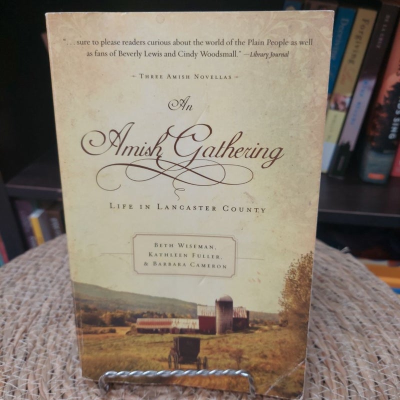 An Amish Gathering