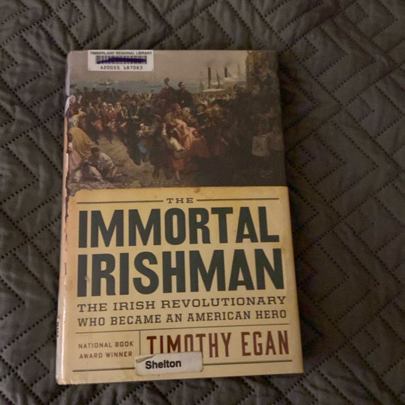 The Immortal Irishman
