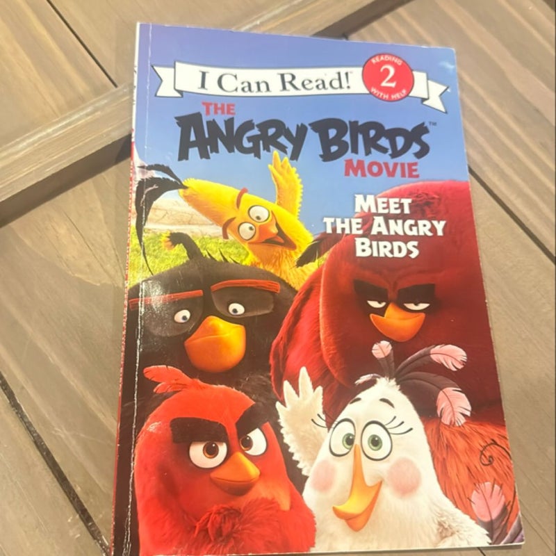 The Angry Birds Movie: Meet the Angry Birds