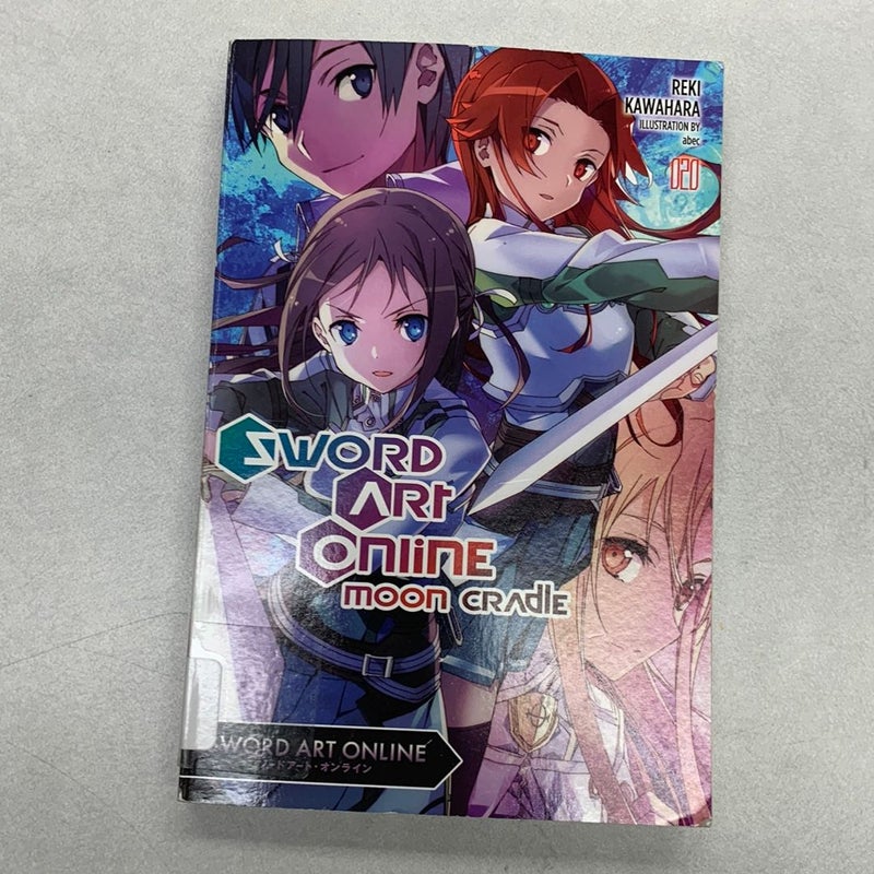 Sword Art Online 20 (light Novel)