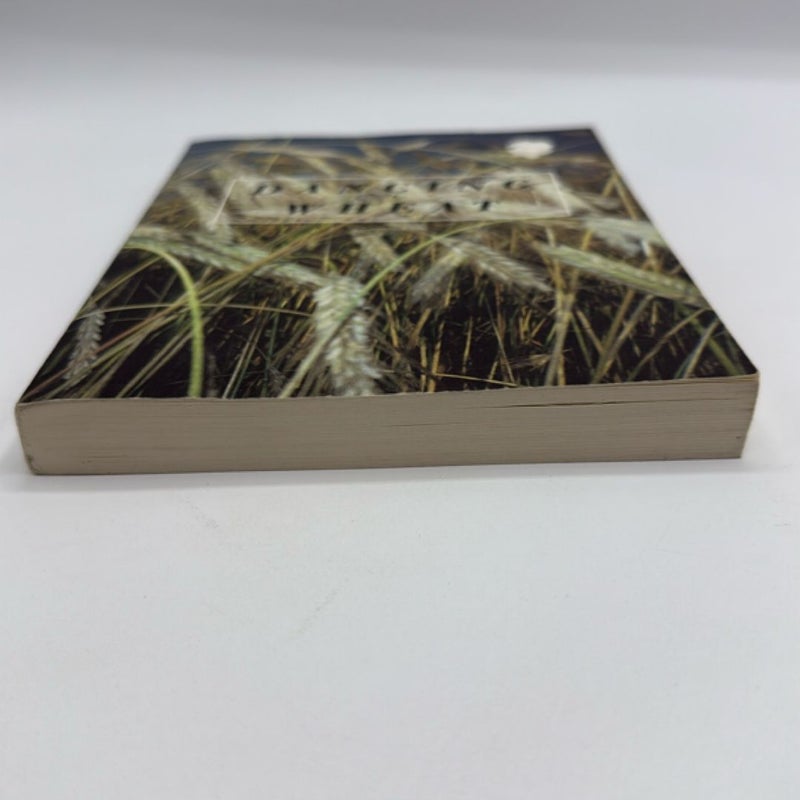Dancing Wheat