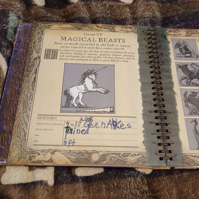 The Wizardology Handbook