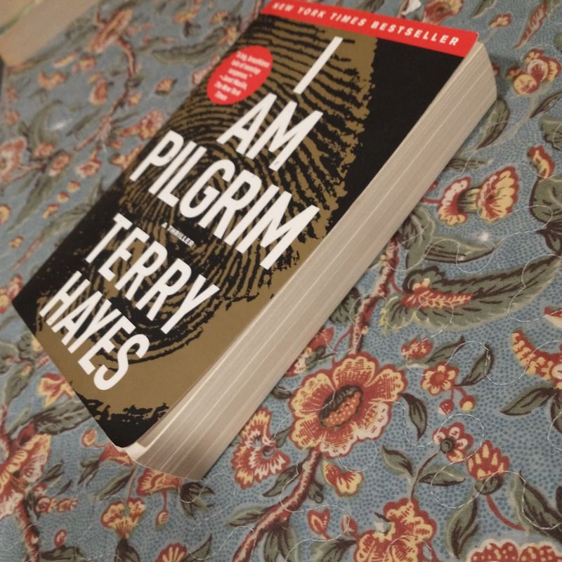 I Am Pilgrim