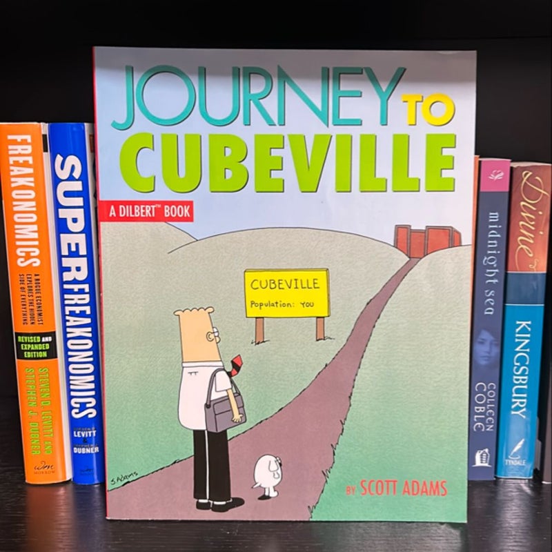 Journey to Cubeville