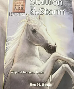 Stallion in the Storm