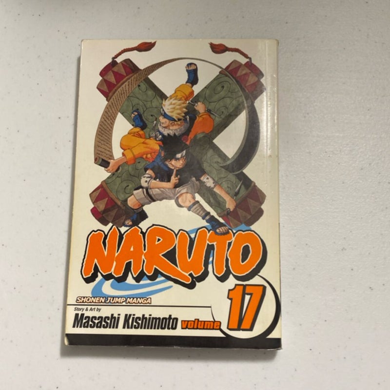 Naruto, Vol. 17