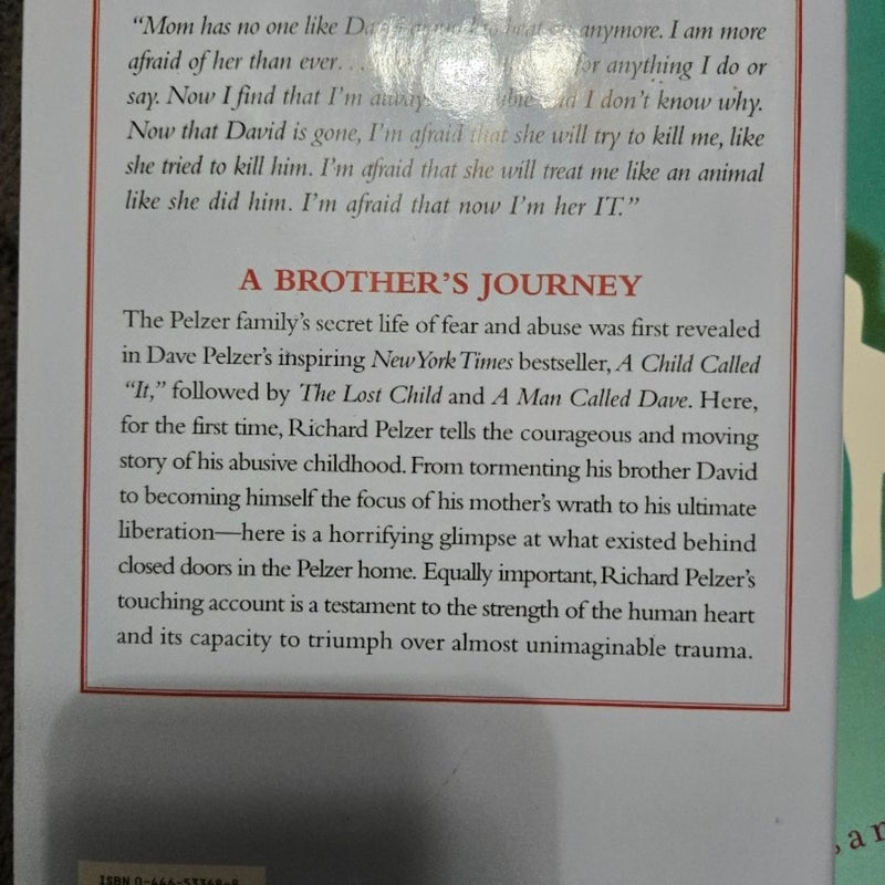 A Brother's Journey