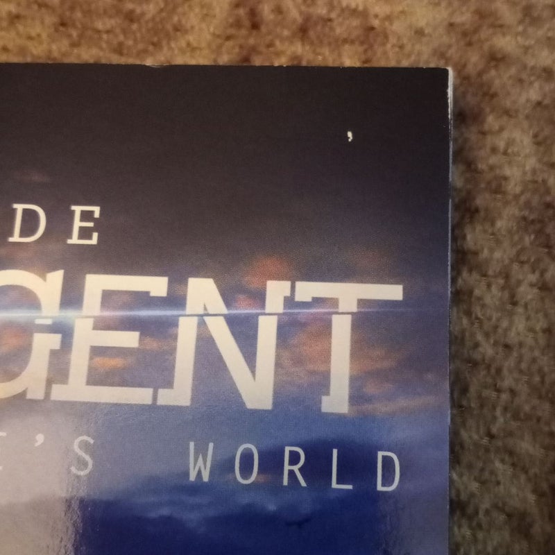 Inside Divergent: the Initiate's World