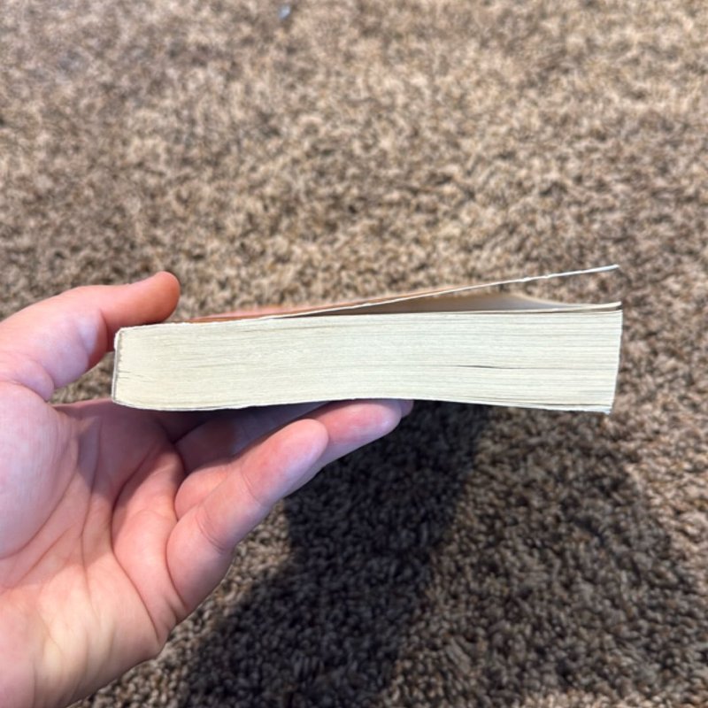 The Beekeeper of Aleppo