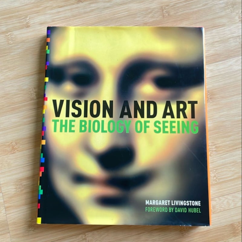 Vision and Art