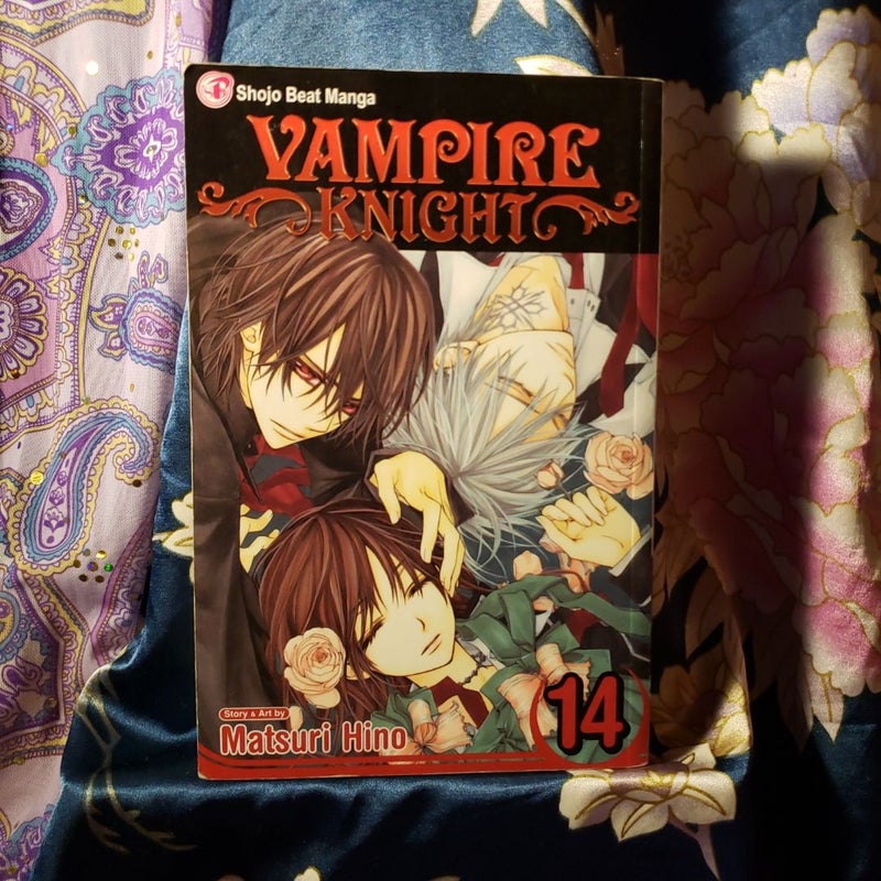 Vampire Knight, Vol. 14