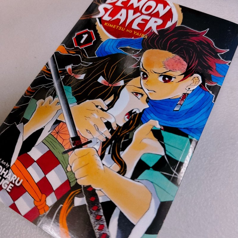 Demon Slayer: Kimetsu No Yaiba, Vol. 1