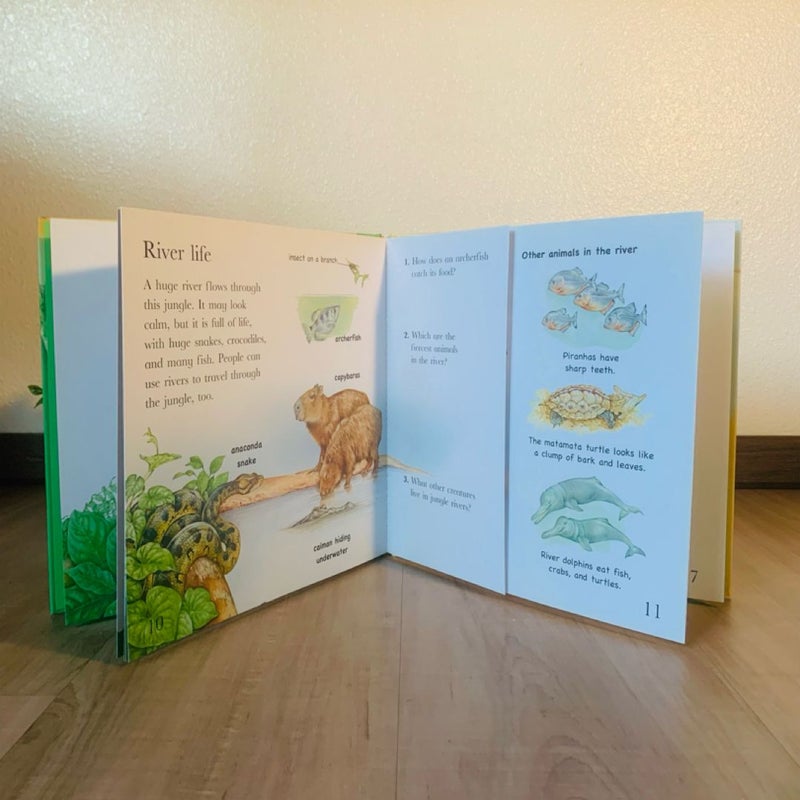 Flip the Flaps: Jungle Animals