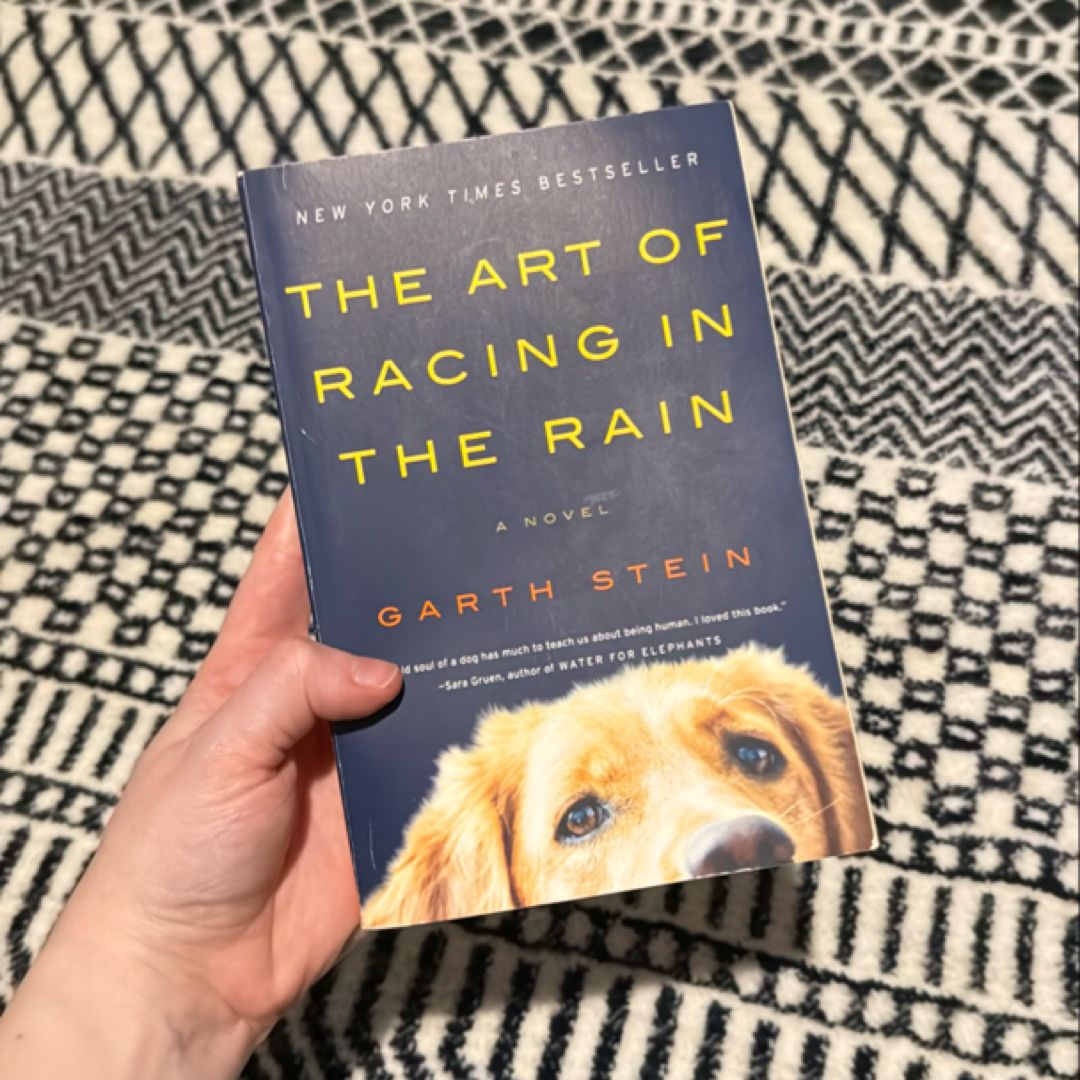 The Art of Racing in the Rain