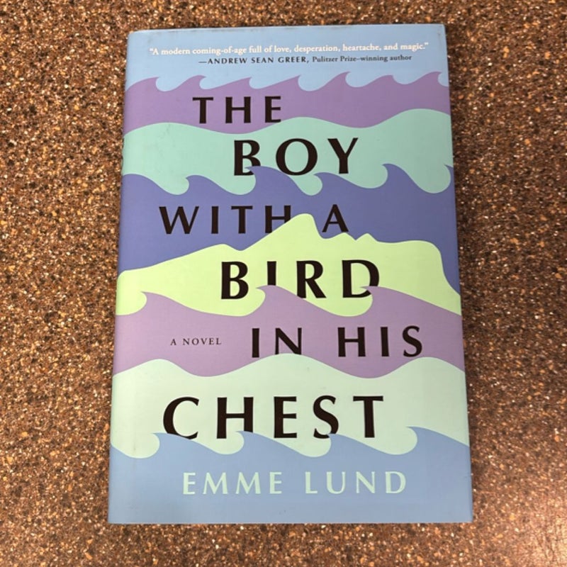 The Boy with a Bird in His Chest