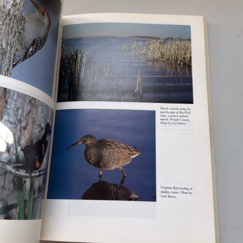 Iowa Birdlife
