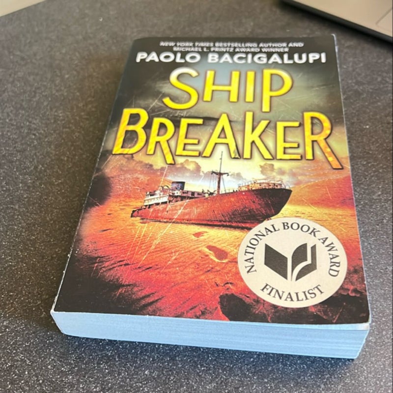 Ship Breaker