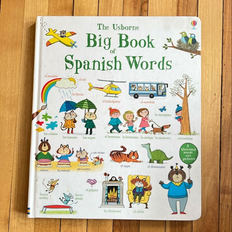 The Usborne Big Book of Spanish Wordz