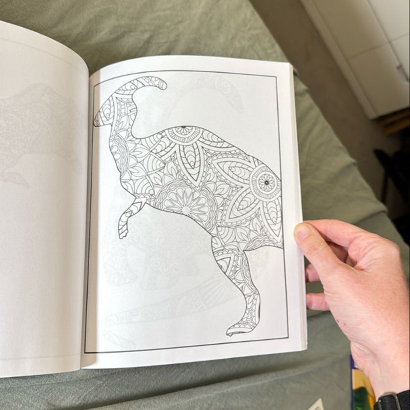 Dinosaur Coloring Book for Adults