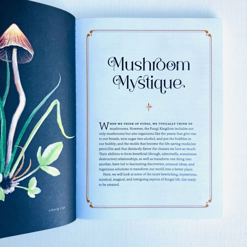 Mystical Mushrooms