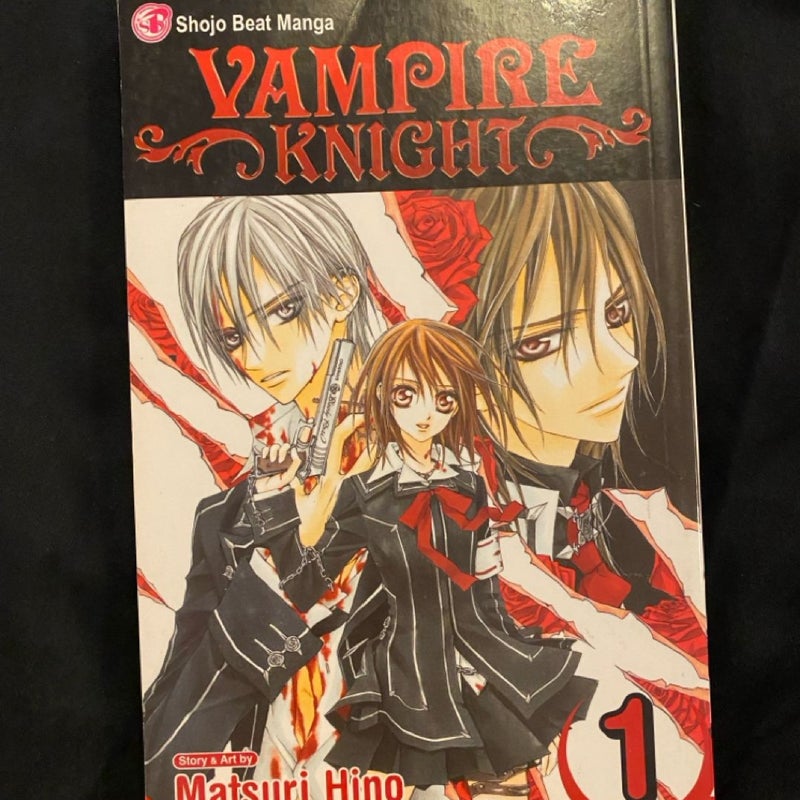 Vampire Knight, Vol. 1