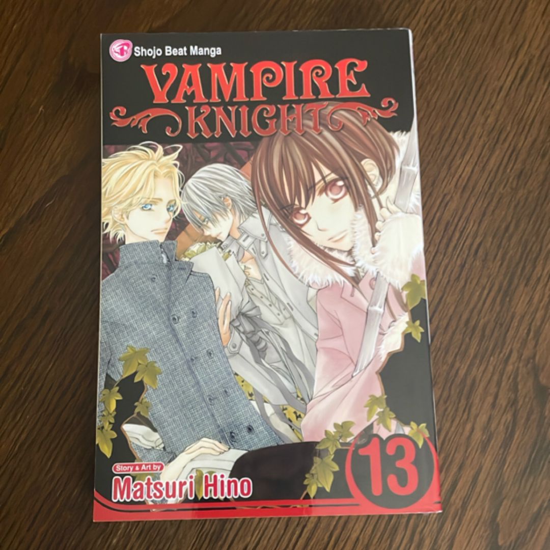 Vampire Knight, Vol. 13