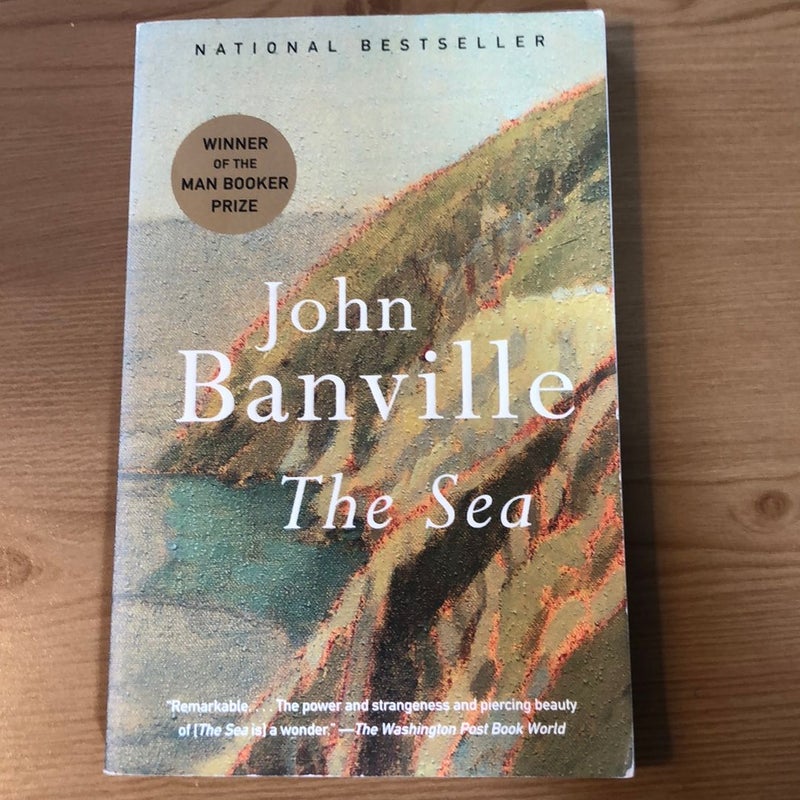 John Banville: a life in writing, Books