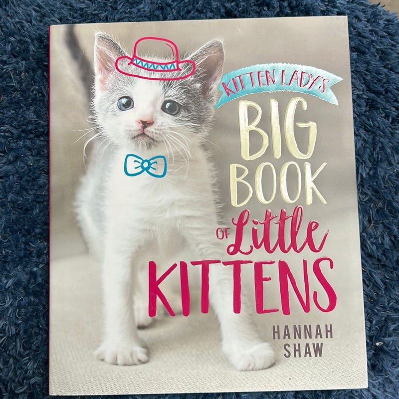 Kitten Lady's Big Book of Little Kittens