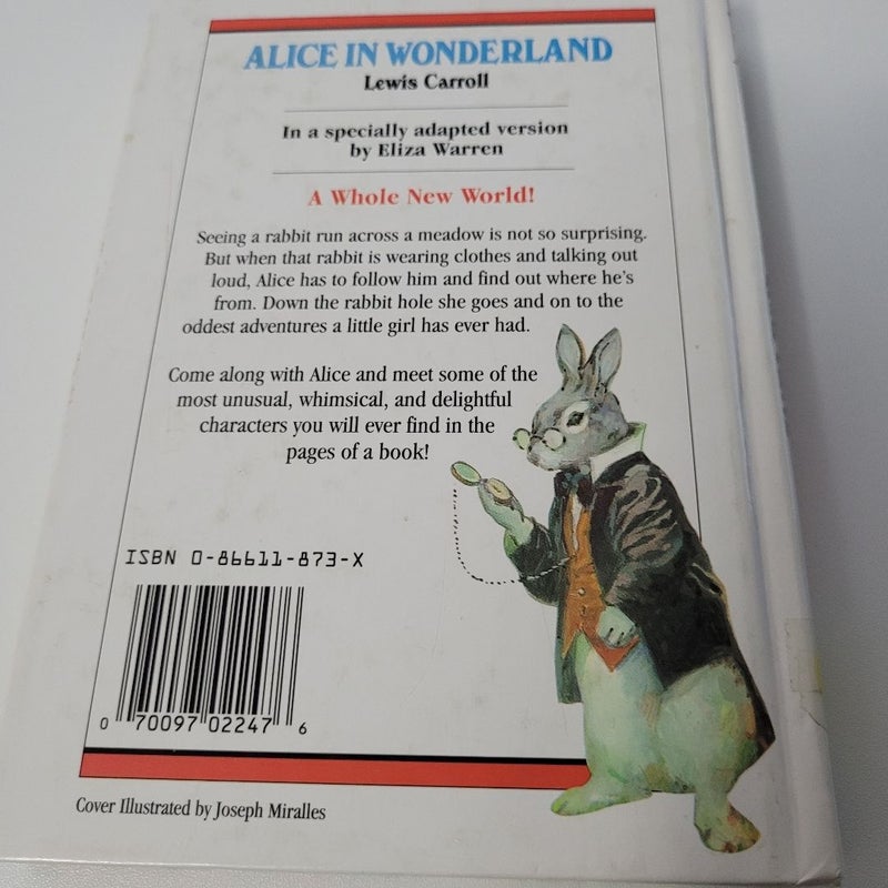 Alice in Wonderland 