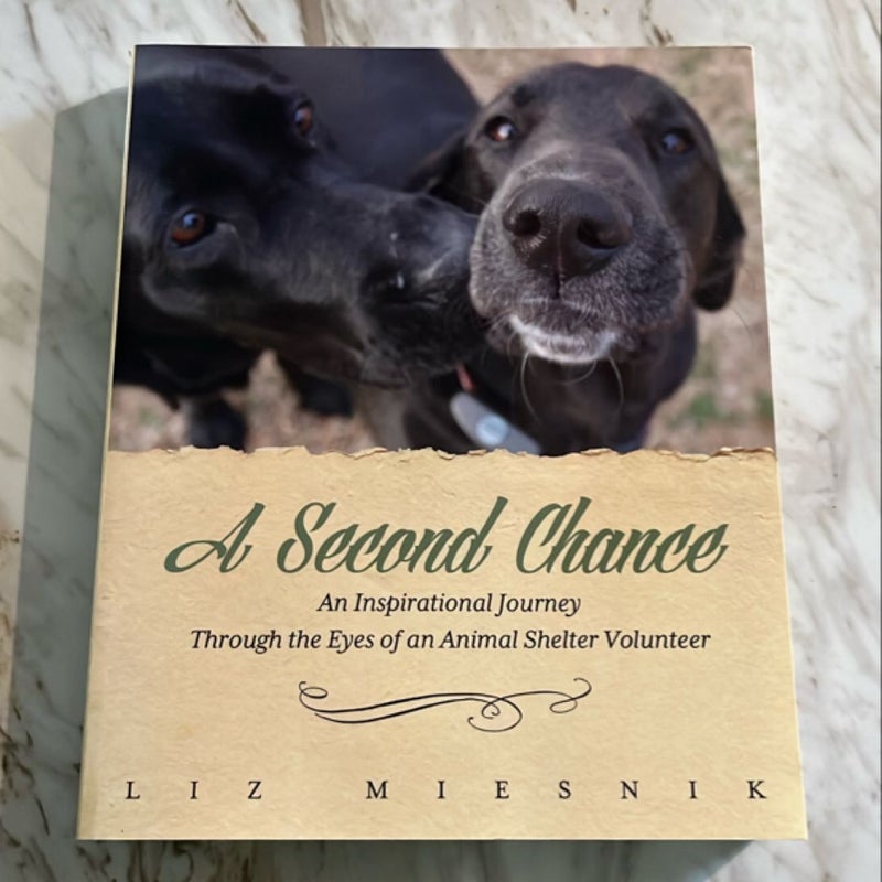 A Second Chance