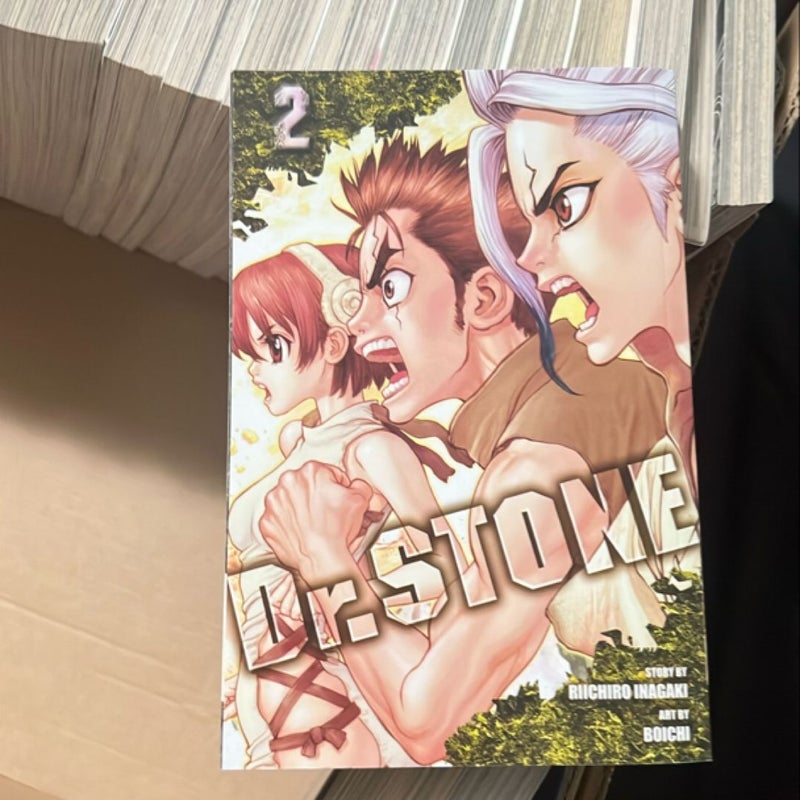 Dr. STONE, Vol. 2