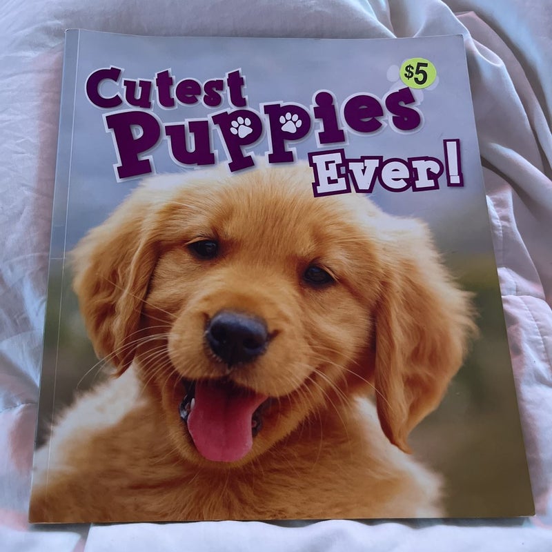Cutest Puppies Ever!