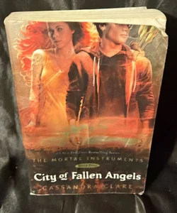 City of Fallen Angels