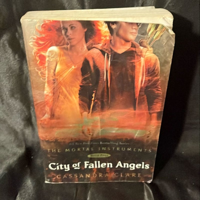 City of Fallen Angels