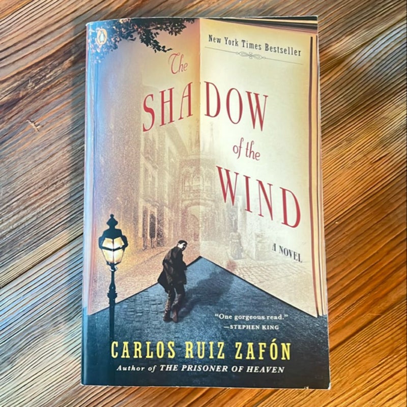 The Shadow of the Wind