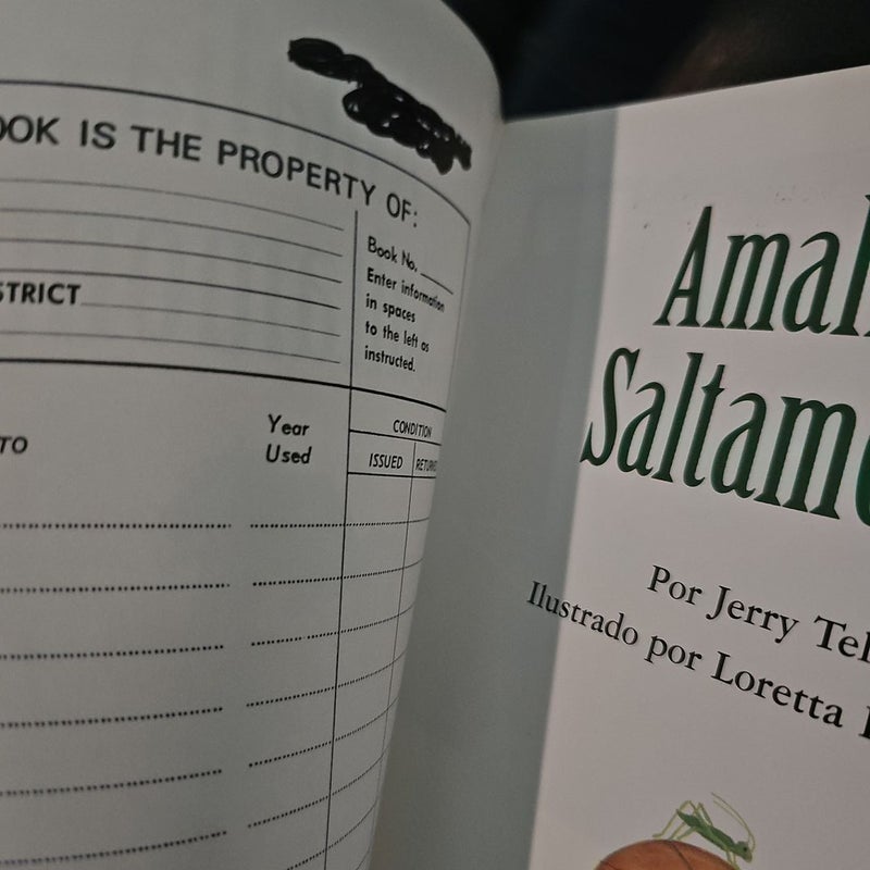 Amalia y el Saltamontes ^