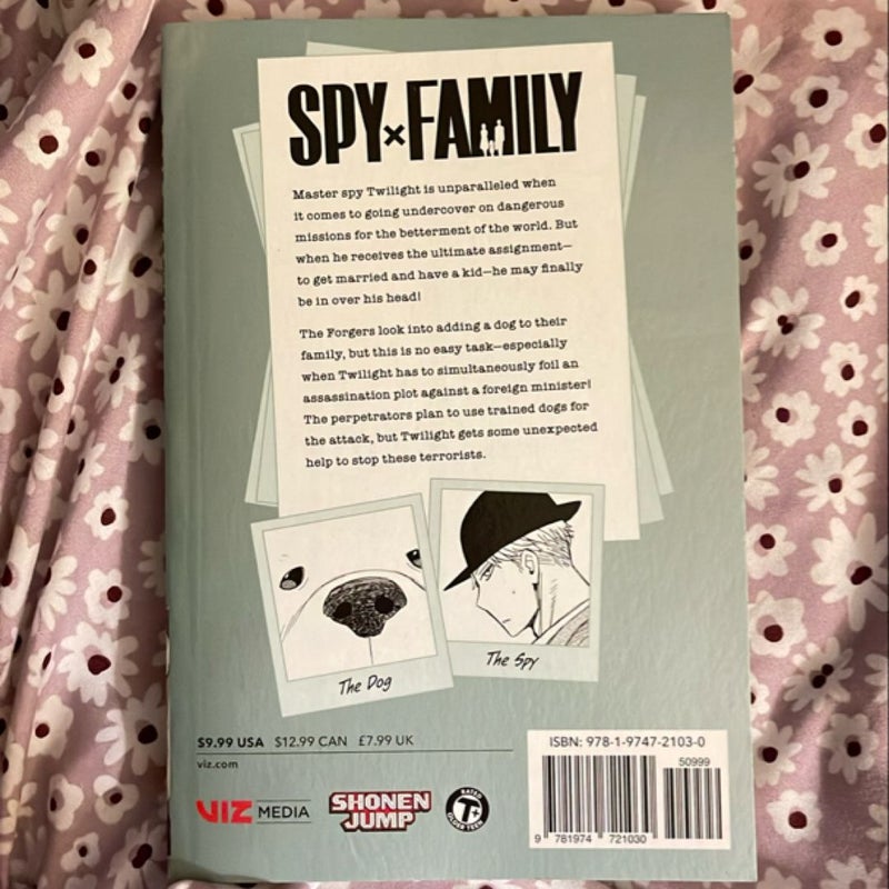 Spy X Family, Vol. 4