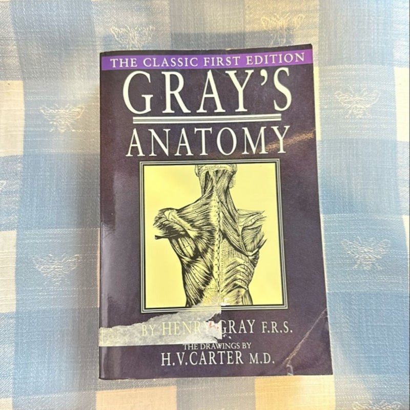 Gray's Anatomy