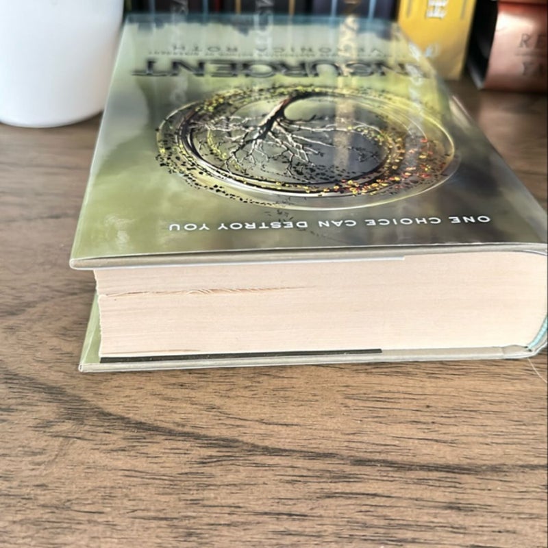 Insurgent