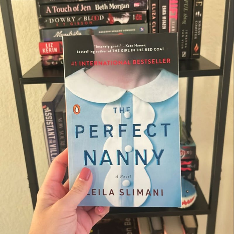 The Perfect Nanny