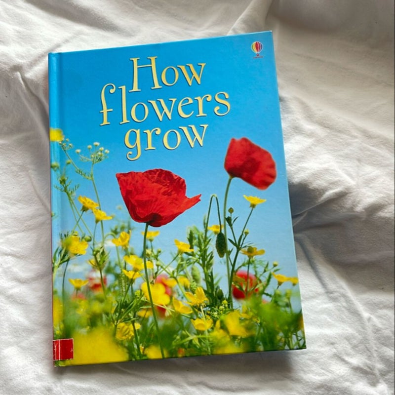 How Flowers Grow