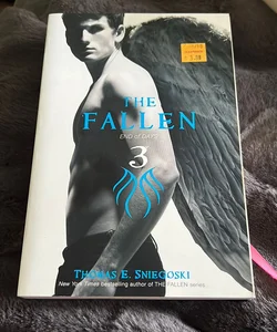 The Fallen 3