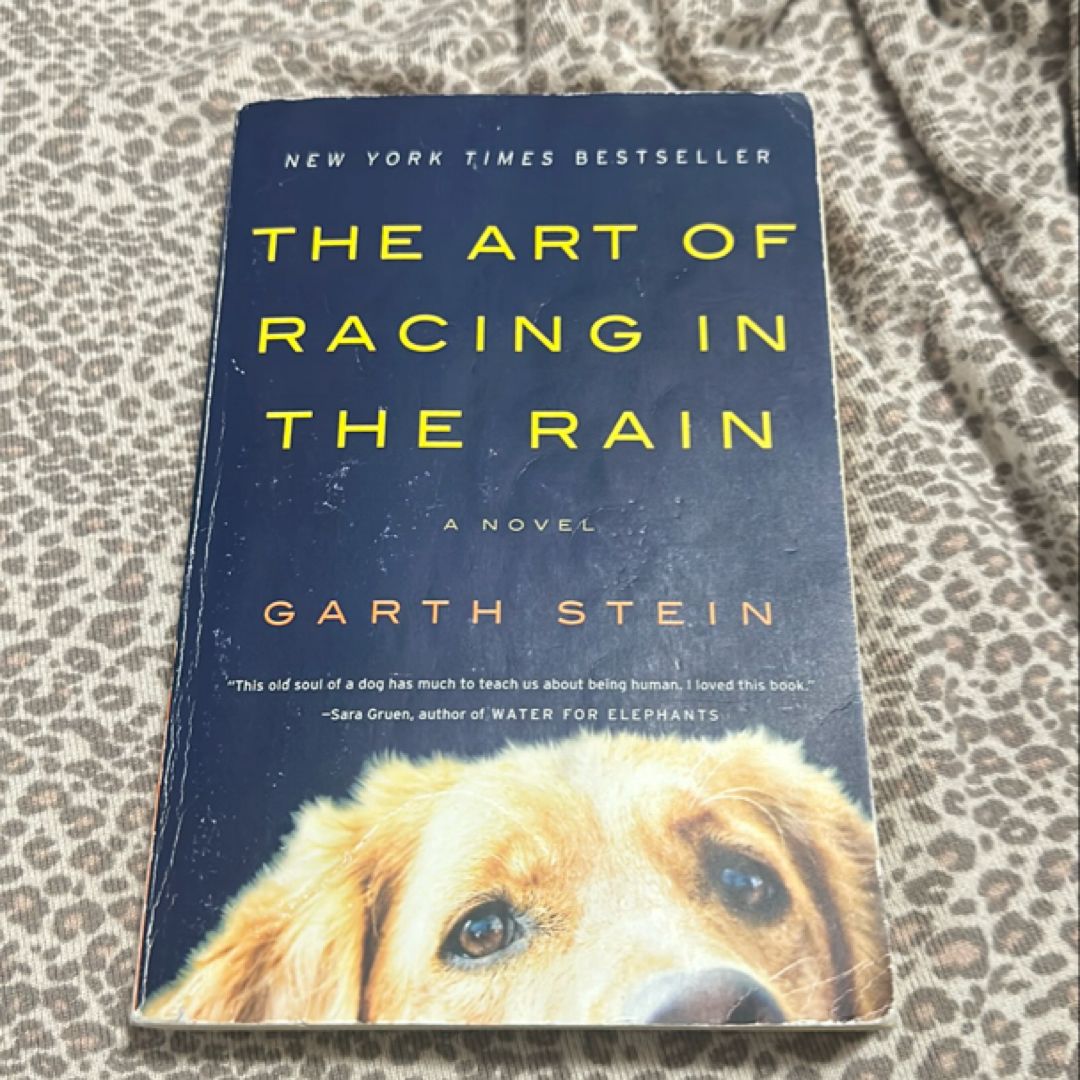 The Art of Racing in the Rain