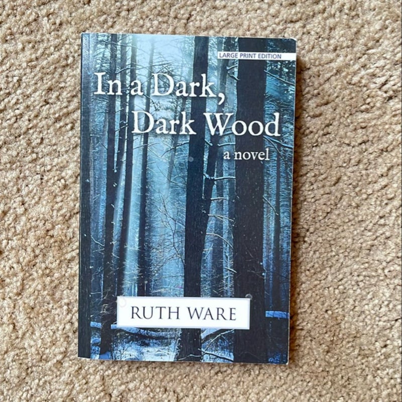 In a Dark, Dark Wood