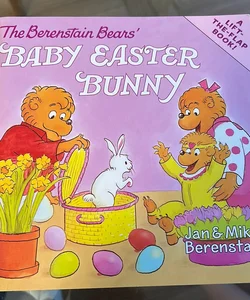 Lift and Flap the Berenstain Bears' Baby Easter Bunny