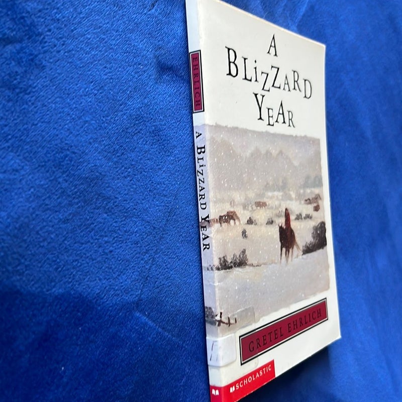 A Blizzard Year