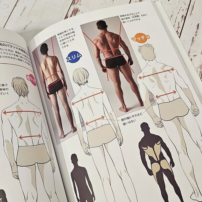 Poses for drawing Men's Muscles - from slim to macho